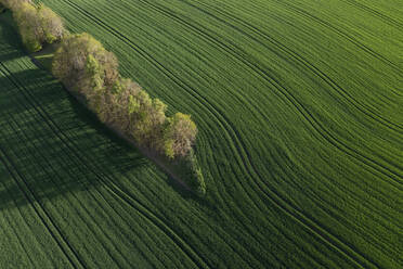 Germany, Bavaria, Aerial view of green countryside fields in spring - RUEF03931