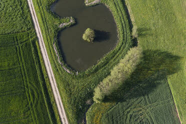 Deutschland, Bayern, Luftaufnahme einer unbefestigten Straße, die an einem Teich vorbeiführt, umgeben von grünen Feldern im Frühling - RUEF03932