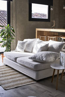 Gemütliches Wohnzimmer mit Kissen auf dem Sofa zu Hause - VEGF06138