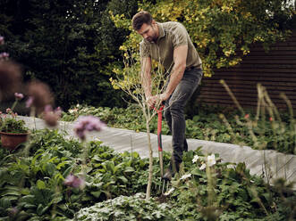 Mann gräbt in seinem Garten mit einer Gartengabel - PWF00471