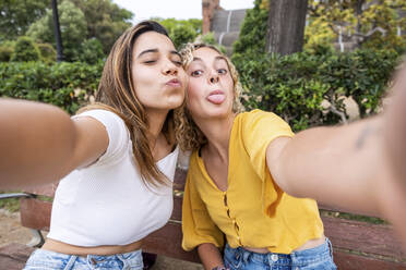 Freunde machen Gesichter und nehmen Selfie auf Bank im Park - WPEF06881