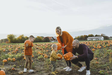 Glückliche Familie mit Lampions auf einem Feld - AANF00457