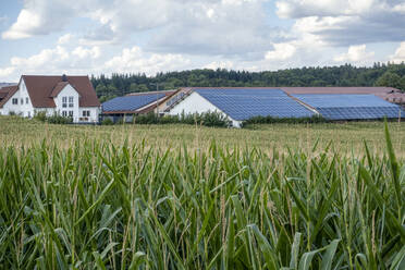 Deutschland, Bayern, Augsburg, Feld auf dem Lande mit ländlichen Häusern, die mit Sonnenkollektoren ausgestattet sind, im Hintergrund - MAMF02365