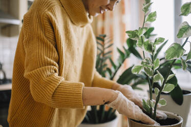 Frau bei der Gartenarbeit und bei der Pflege von Topfpflanzen zu Hause - ANAF00827