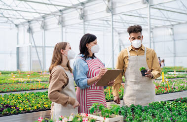 Group of people working in greenhouse in garden center, coronavirus concept. - HPIF05532