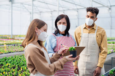 Group of people working in greenhouse in garden center, coronavirus concept. - HPIF05533