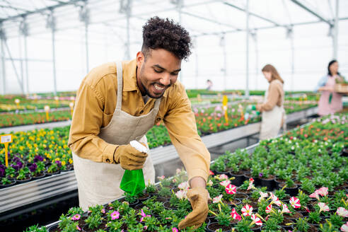 Junger afrikanisch-amerikanischer Mann arbeitet im Gewächshaus eines Gartencenters und besprüht Pflanzen. - HPIF05538
