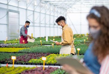 Group of people working in greenhouse in garden center, coronavirus concept. - HPIF05547