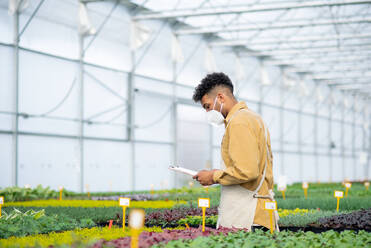 A young african-american man with clipboard working in greenhouse, coronavirus concept. - HPIF05548