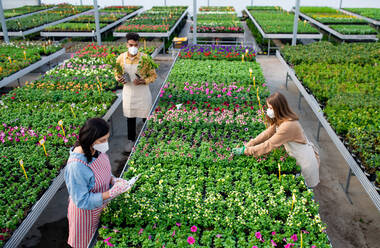 Top view of group of people working in greenhouse in garden center, coronavirus concept. - HPIF05561