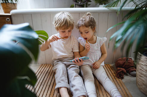 Niedliche kleine Kinder sitzen auf dem Boden im Badezimmer, putzen sich die Zähne und benutzen ihr Smartphone. - HPIF05658