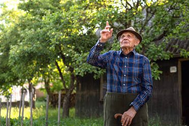 Portrait of elderly man standing outdoors in garden, looking up and pointing. - HPIF05885