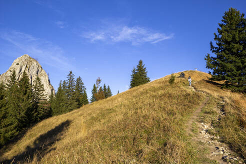 Mann wandert auf Berg durch schmalen Fußweg unter blauem Himmel - MAMF02399
