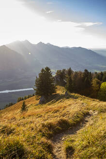 Grasfläche auf dem Berg an einem sonnigen Tag - MAMF02400