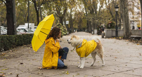 Junge Frau mit Regenschirm und Hund auf dem Gehweg kauernd - JCCMF08855