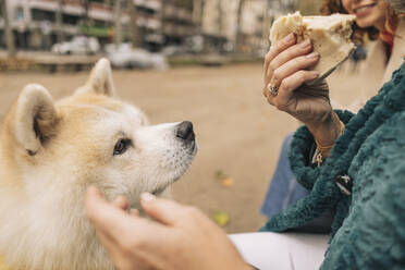 Ältere Frau hält Sandwich und sitzt mit Hund - JCCMF08885