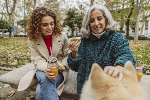 Happy senior woman stroking dog and sitting with granddaughter on seat - JCCMF08886