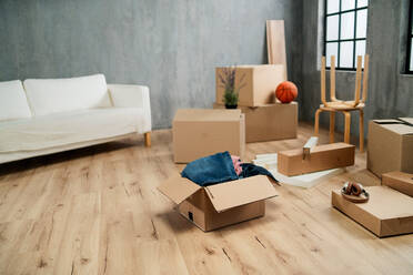Ein leeres Wohnzimmer mit bereits gepackten Umzugskartons, ein Umzugskonzept. - HPIF05901