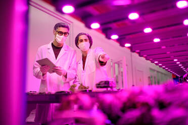 Workers with face mask working on aquaponic farm, sustainable business and coronavirus. - HPIF05962