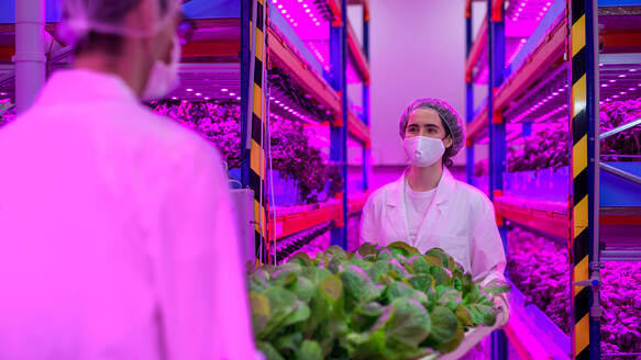 Side view of workers with face mask on aquaponic farm, sustainable business and coronavirus. - HPIF05972