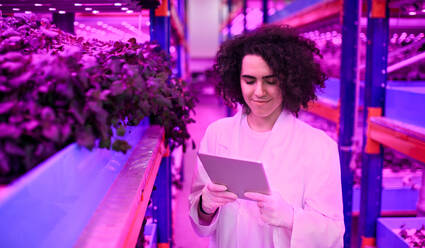 Portrait of worker with tablet on aquaponic farm, sustainable business and artificial lighting. - HPIF05986