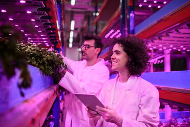 Porträt eines Arbeiters, der ein Tablet in einer Aquaponic-Farm benutzt, nachhaltiges Wirtschaften und künstliche Beleuchtung. - HPIF05990