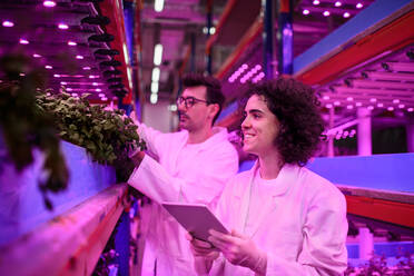 Portrait of workers using tablet on aquaponic farm, sustainable business and artificial lighting. - HPIF05990