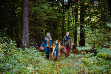 Ein kleines Mädchen mit Mutter und Großmutter, die sich bei einem Spaziergang im Wald an den Händen halten. - HPIF06007