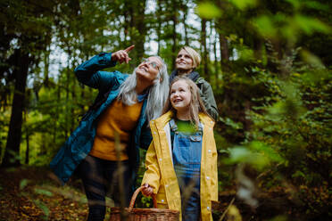 Ein kleines Mädchen mit Mutter und Großmutter, die beim Spaziergang im Wald nach oben schauen. - HPIF06010