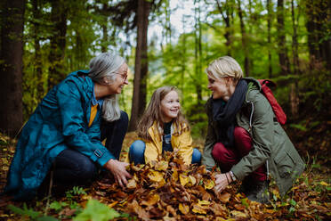 Ein glückliches kleines Mädchen mit Mutter und Großmutter, die sich bei einem Herbstspaziergang im Wald mit Blättern vergnügen - HPIF06019