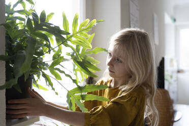 Girl putting potted plant on window sill at home - NJAF00184