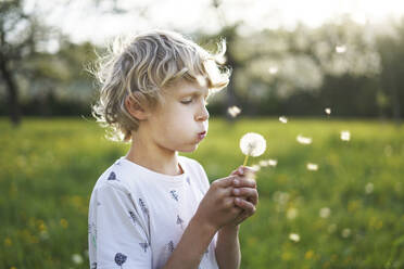Blond boy blowing on dandelion flower - NJAF00195