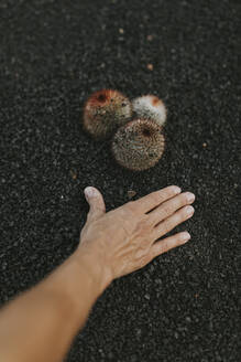 Hand einer Frau mit Kaktus auf der Straße - DMGF00967