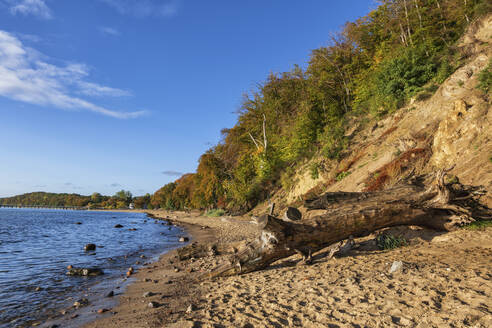 Polen, Pommern, Gdynia, Treibholz am Ostseestrand - ABOF00871