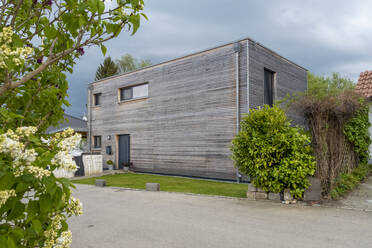 Modernes Holzhaus mit Pflanzen unter freiem Himmel - MAMF02421