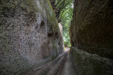 Schmale Straße mit Felsen unter einem Baum - MAMF02438