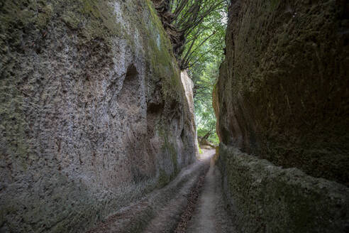 Schmale Straße mit Felsen unter einem Baum - MAMF02438