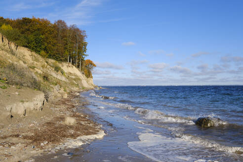 Germany, Schleswig-Holstein, Travemnde, Brodtener Ufer at autumn - WIF04682