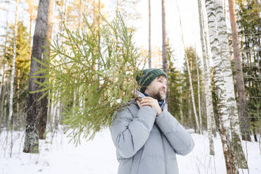 Smiling man carrying pine tree in winter forest - EYAF02518