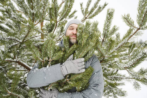 Man hugging pine tree in winter vacation - EYAF02526