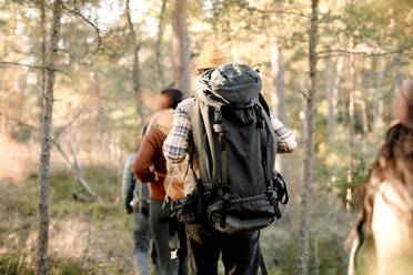 Rückansicht eines Mannes mit Freunden beim Wandern im Wald - MASF34200