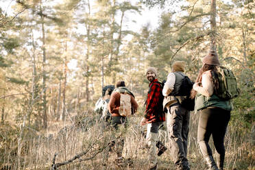 Freunde gehen in einer Reihe beim gemeinsamen Wandern im Wald - MASF34204