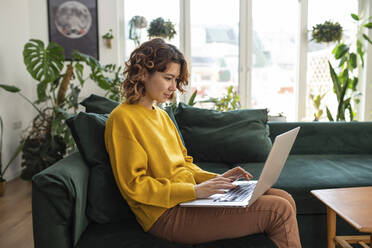 Freelancer working on laptop sitting at home - VRAF00042