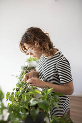 Woman taking care of plants at home - VRAF00064