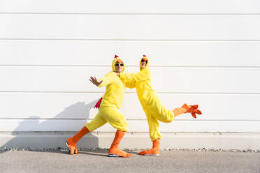 Playful man and woman wearing chicken costumes having fun in front of wall - OIPF02890