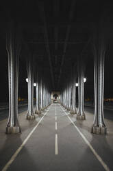 France, Ile-de-France, Paris, Underside of Pont de Bir-Hakeim at night - MMPF00634