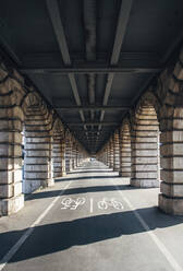 Frankreich, Ile-de-France, Paris, Fahrradspur unter der Pont de Bercy - MMPF00663