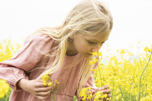 Blondes Mädchen riecht an gelben Blumen im Rapsfeld - NJAF00199