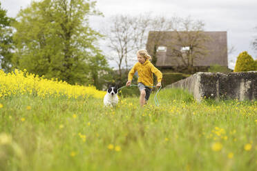 Junge läuft mit Border Collie Hund auf Feld - NJAF00202