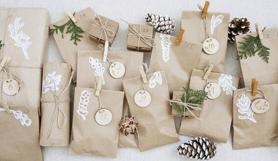 Decorated paper bags with pine cones and cardboard boxes on carpet - SSYF00035